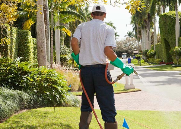About Stafford OH Pest Control Pros